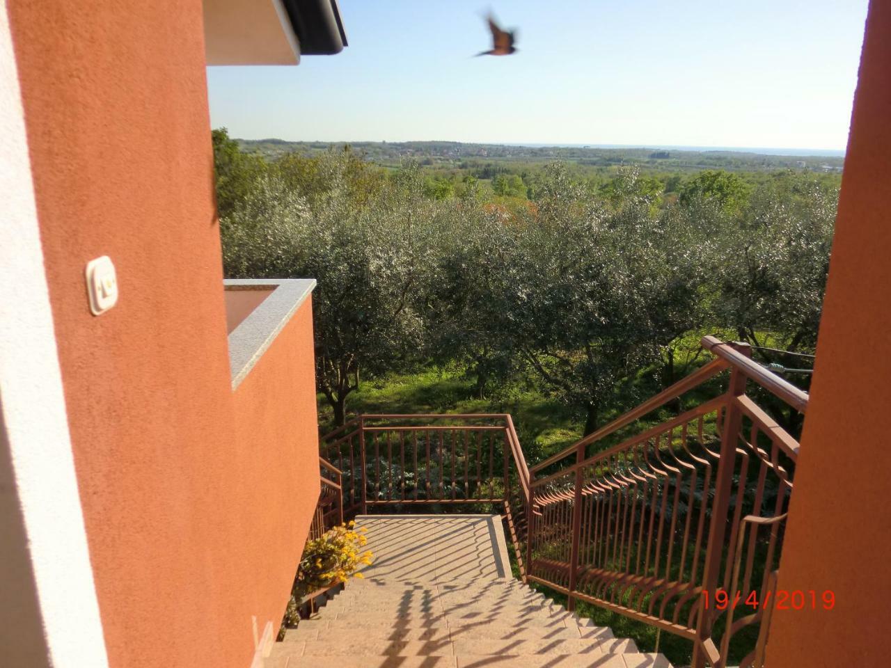 Apartment Zita With 1 Bedroom In Relaxing Surroundings Near Umag Eksteriør billede